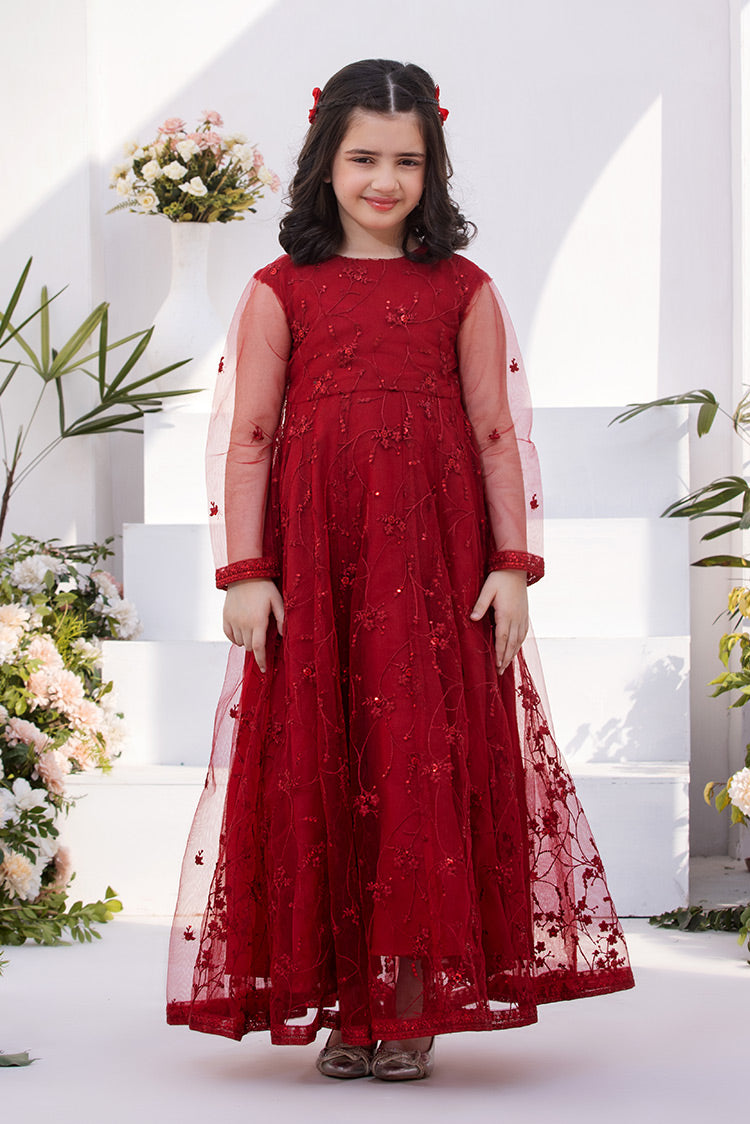 Embroidered Net Maxi Dress – Ellena