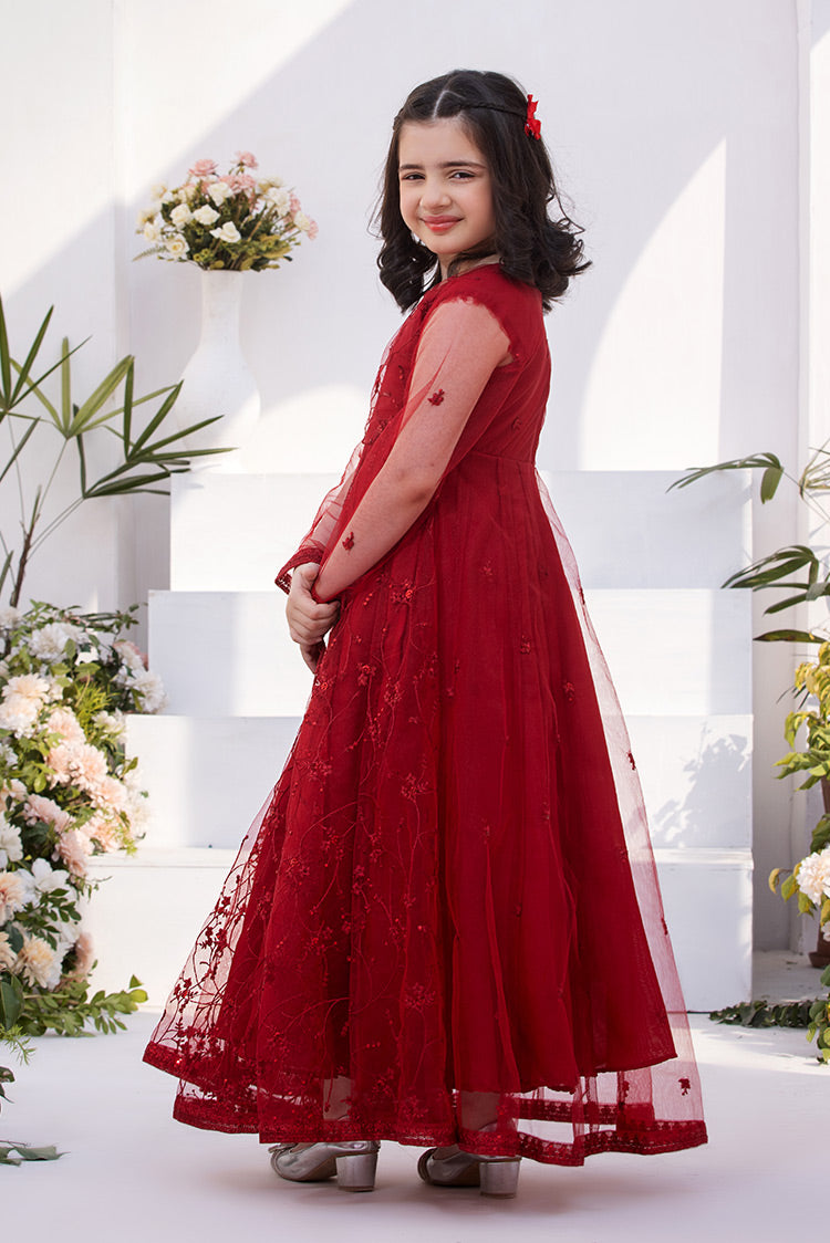 Embroidered Net Maxi Dress Ellena Embroidered Net Maxi Dress Ellena