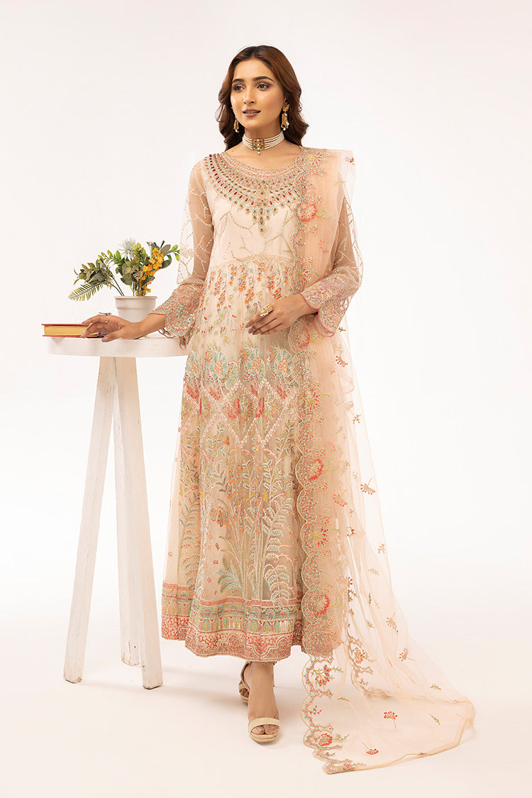 Embroidered Net Maxi Dress