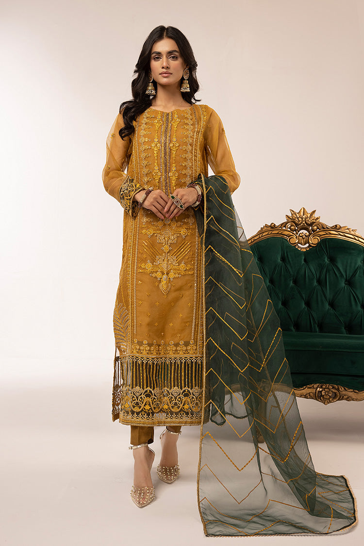 3-PC Stitched Fancy Embroidered Organza Suit