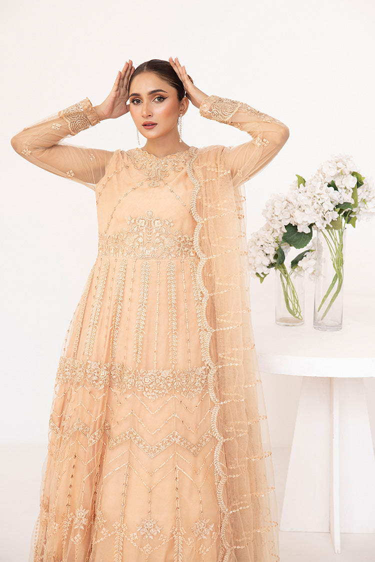 Embroidered Net Maxi Dress