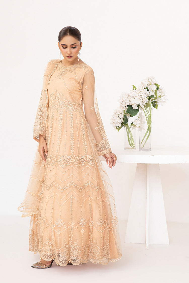 Embroidered Net Maxi Dress