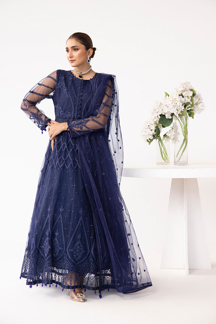 Embroidered Net Maxi Dress