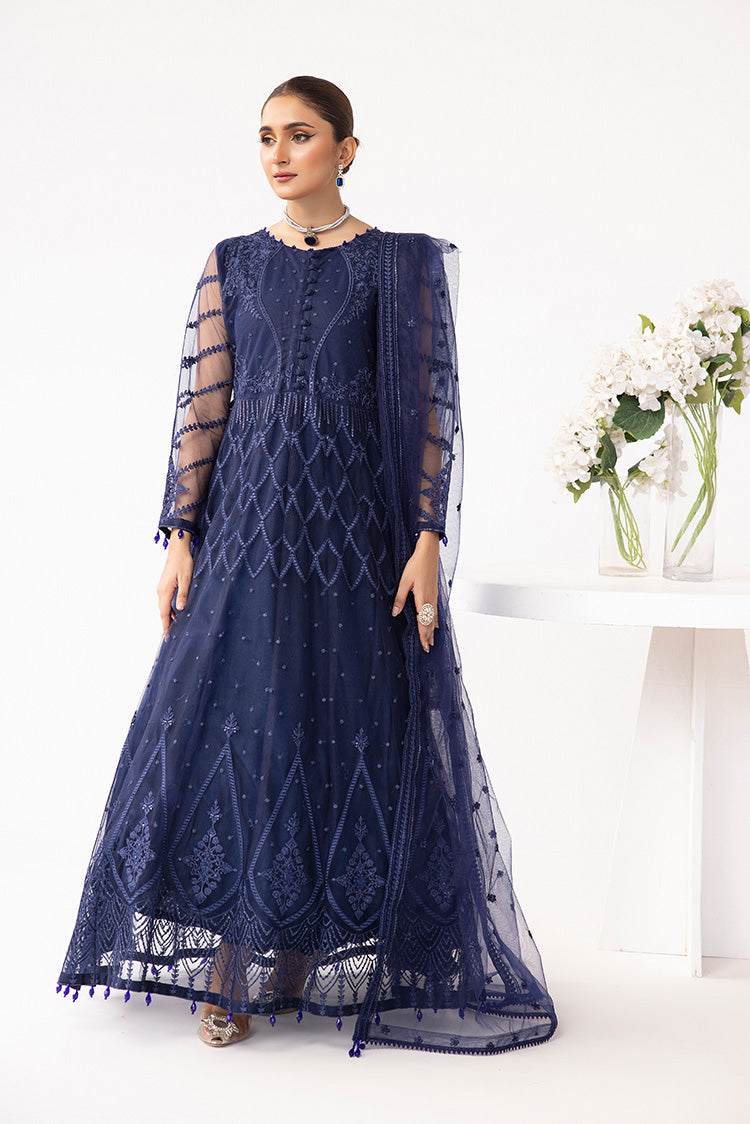 Embroidered Net Maxi Dress