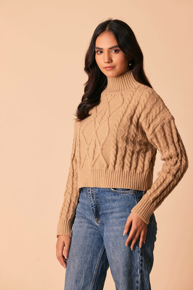 Turtle Neck Pullover Sweater