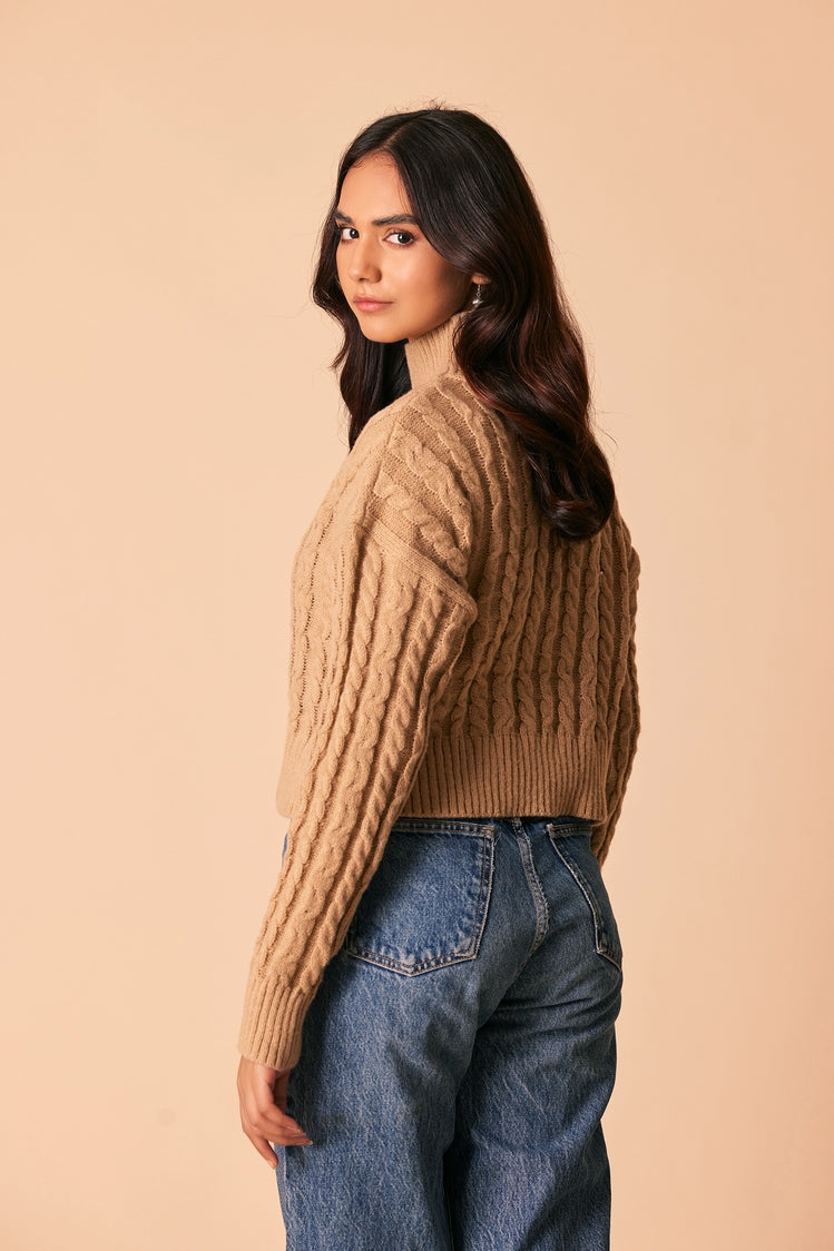 Turtle Neck Pullover Sweater