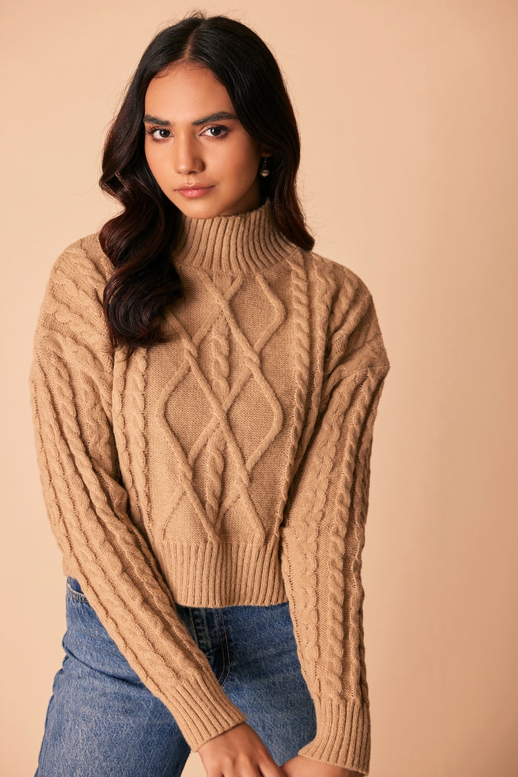 Turtle Neck Pullover Sweater