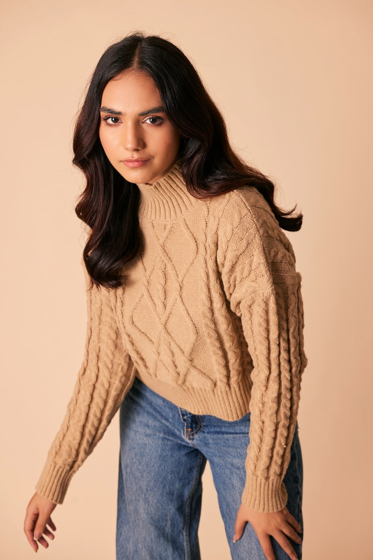 Turtle Neck Pullover Sweater