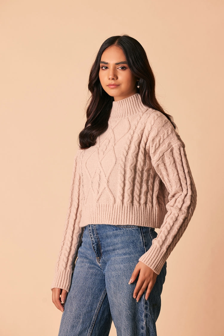 Turtle Neck Pullover Sweater