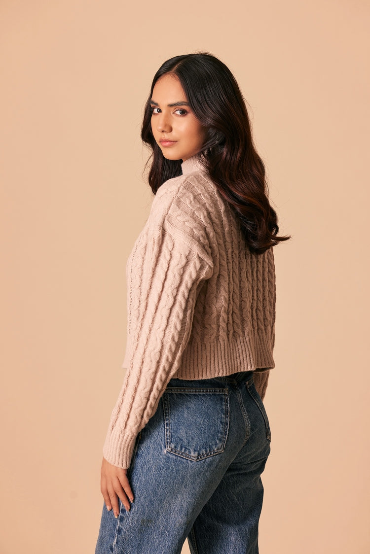 Turtle Neck Pullover Sweater