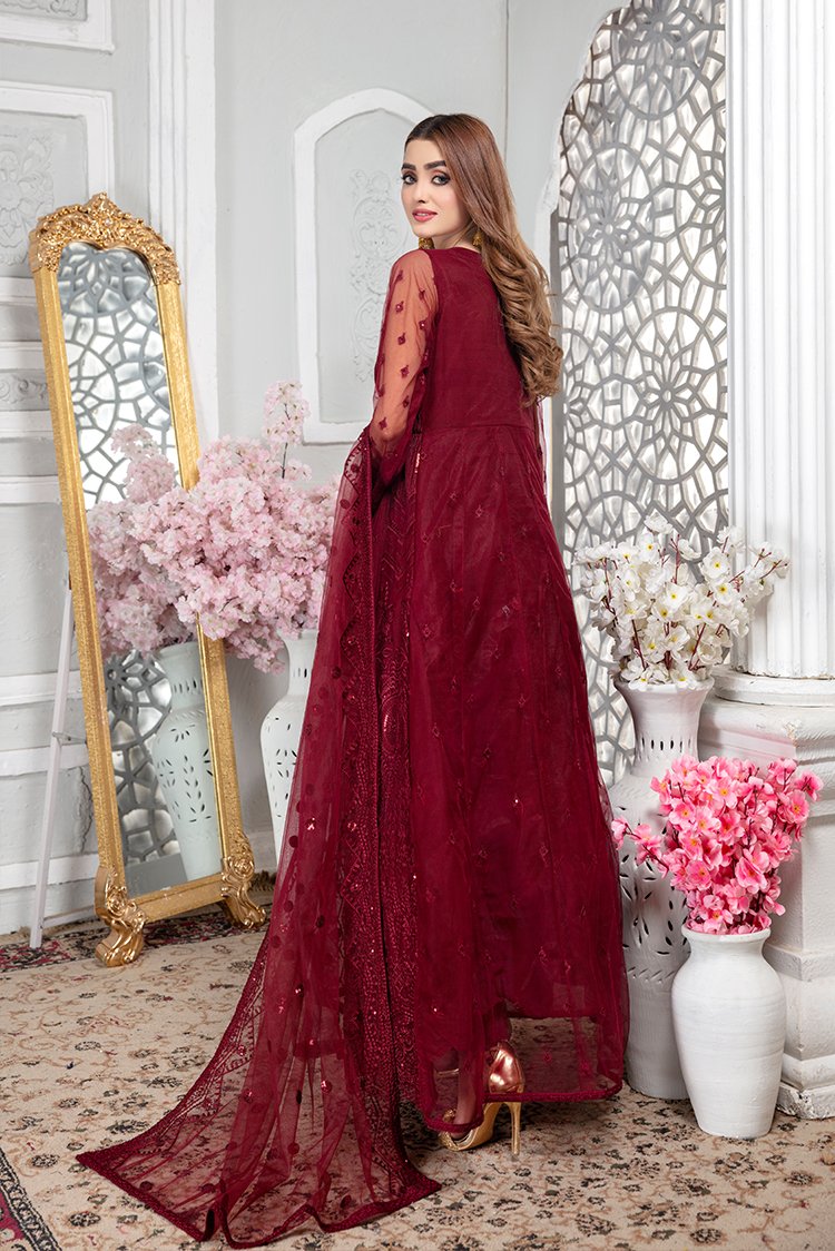 Embroidered Net Maxi Dress