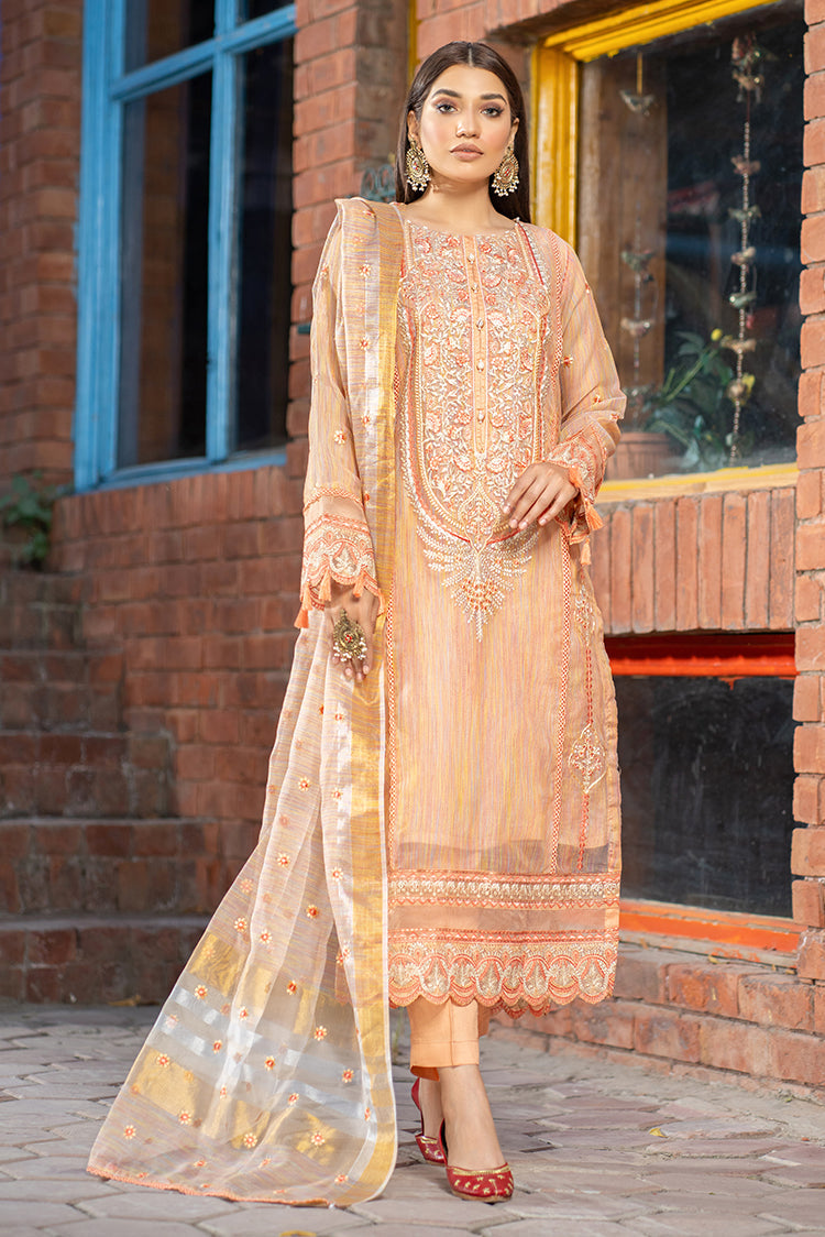 3-PC Stitched Organza Suit