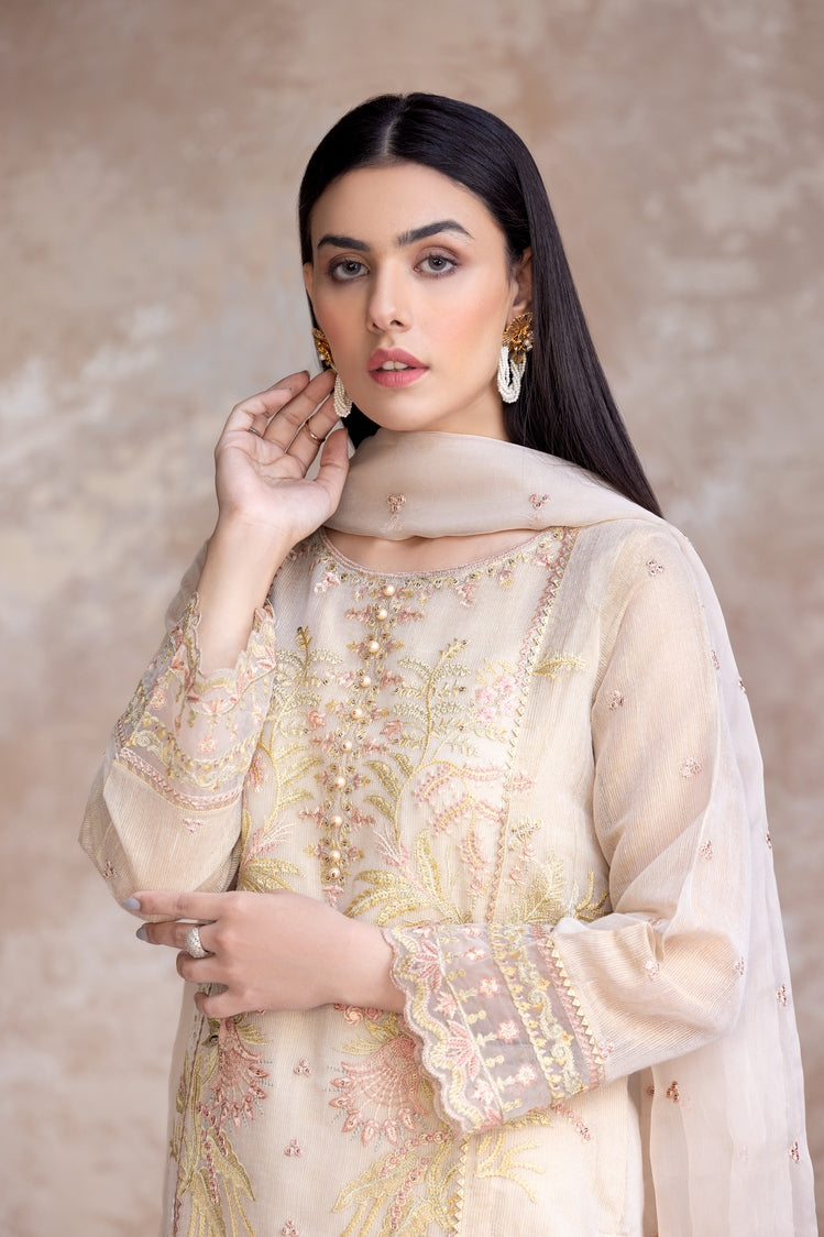 3-PC Stitched Embroidered Khaddi Net Suit