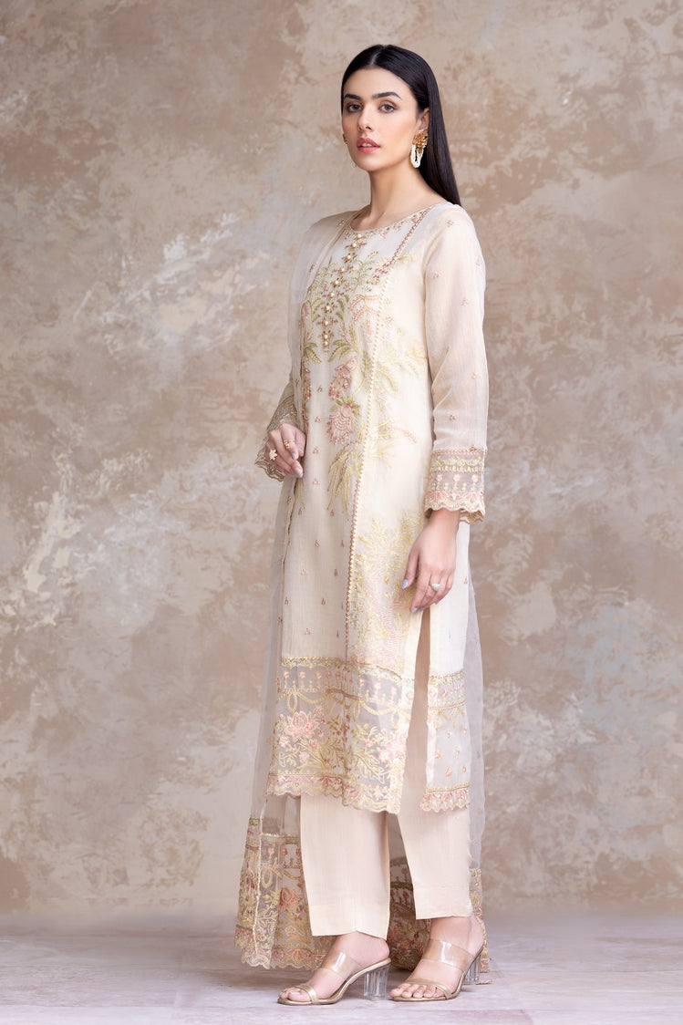 3-PC Stitched Embroidered Khaddi Net Suit