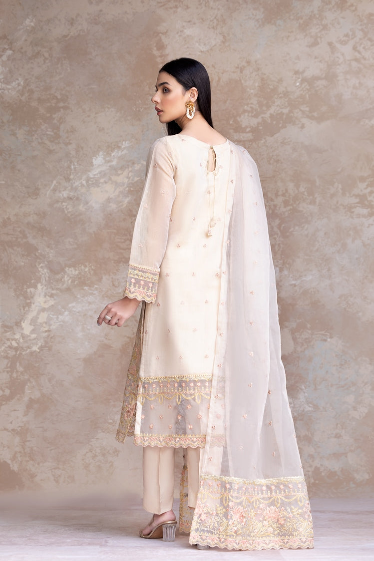 3-PC Stitched Embroidered Khaddi Net Suit