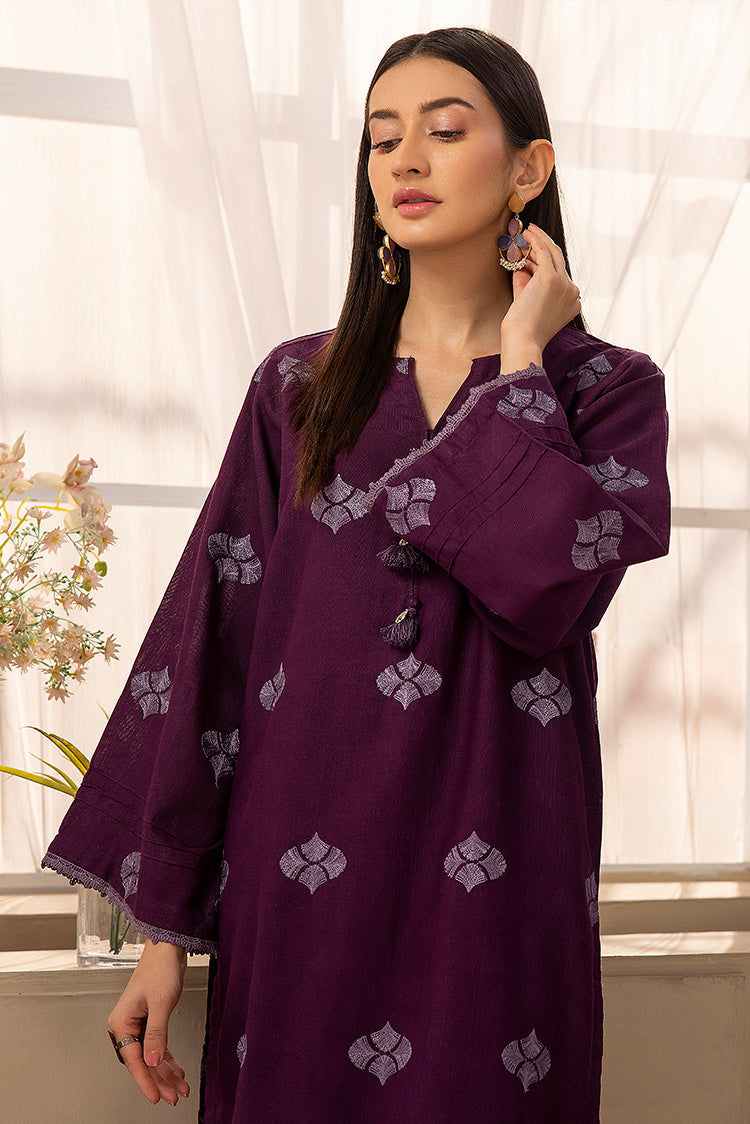 3-PC Stitched Embroidered Khaddar Suit