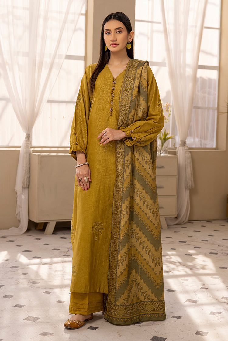 3-PC Stitched Embroidered Khaddar Suit