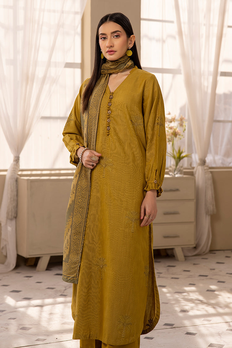 3-PC Stitched Embroidered Khaddar Suit