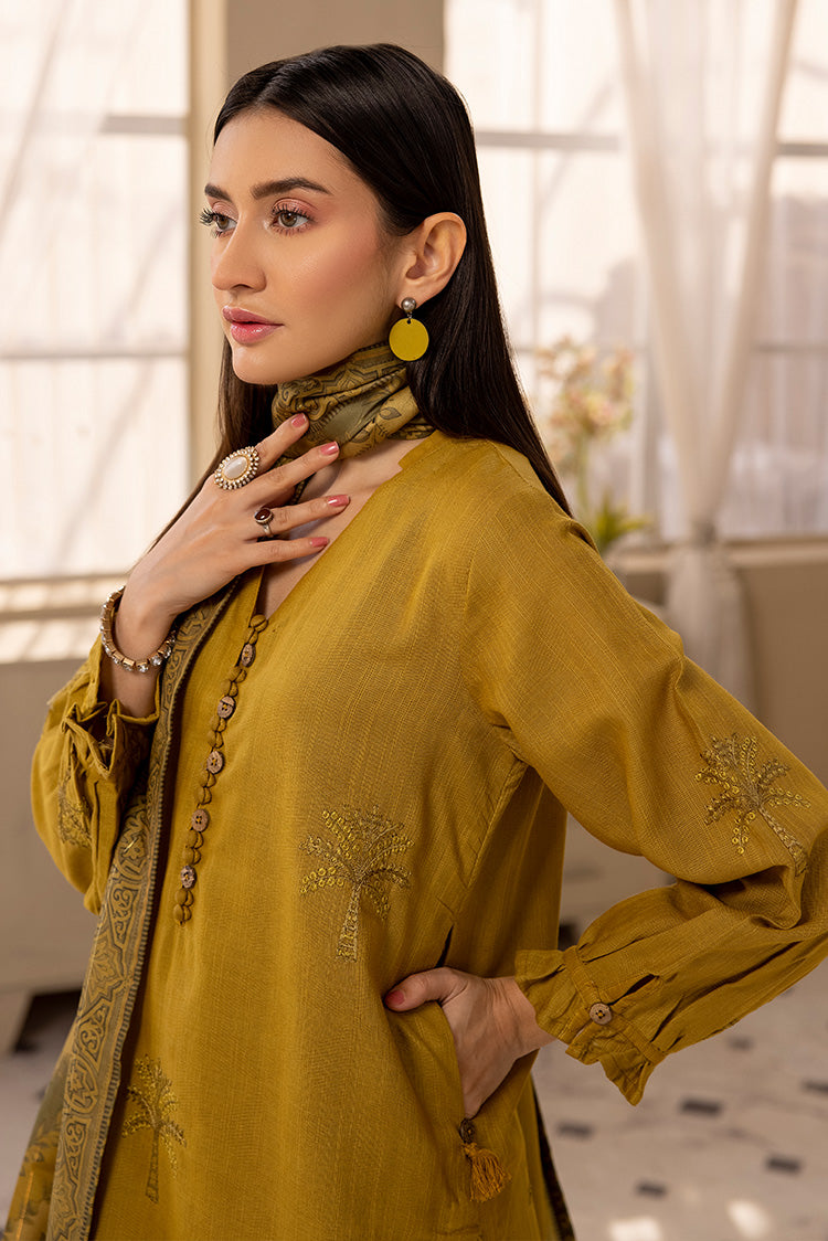 3-PC Stitched Embroidered Khaddar Suit