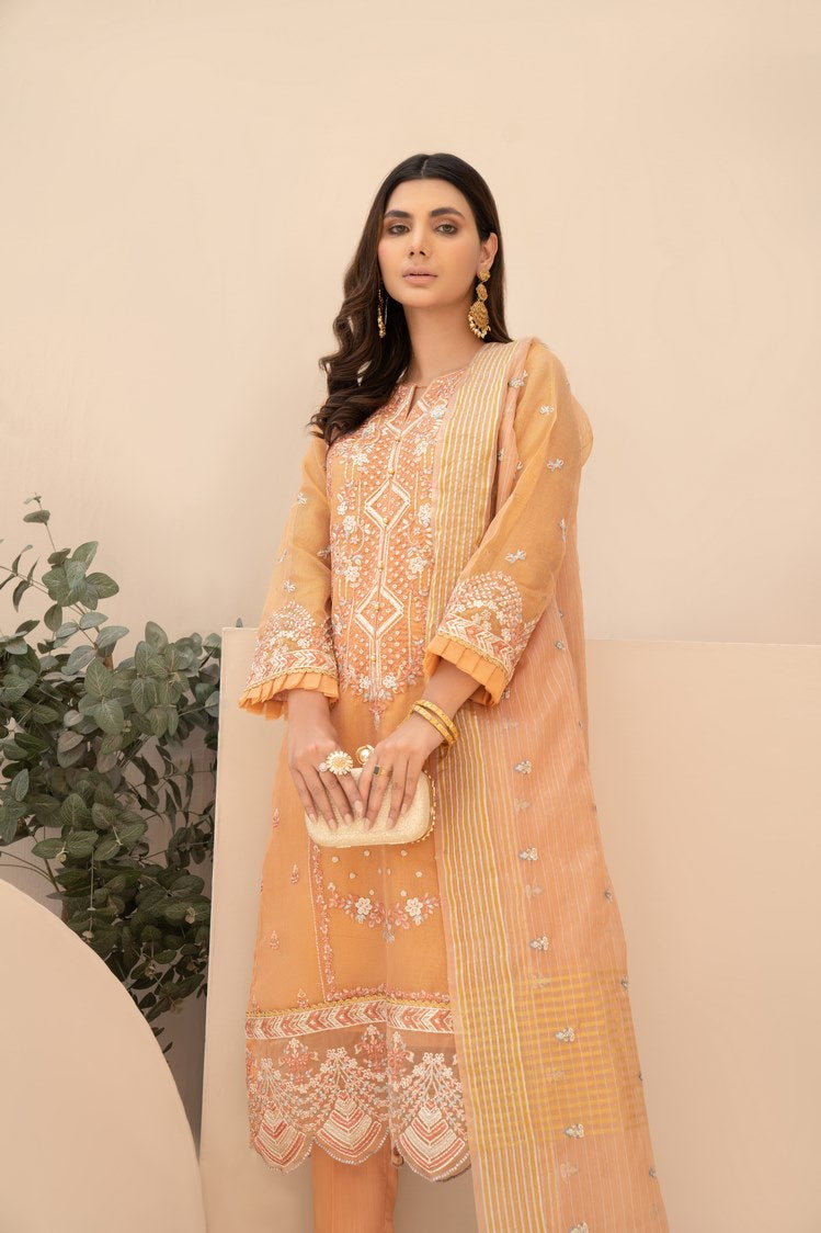 3-PC Stitched Zari Net Suit