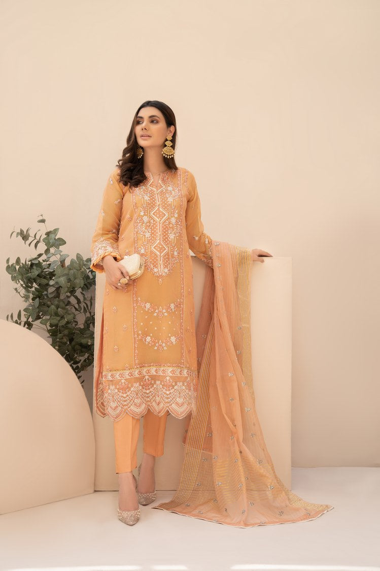 3-PC Stitched Zari Net Suit